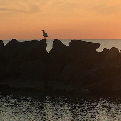 Sonnenuntergang in Ahrenshoop auf dem Darß Sonnenuntergang in Ahrenshoop auf dem Darß