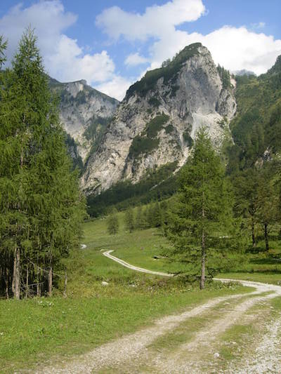 Verschlungener Weg in Bergwelt