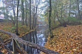 Herbstliche Bachlandschaft