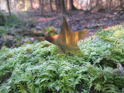 Goldener Stern auf Moosboden