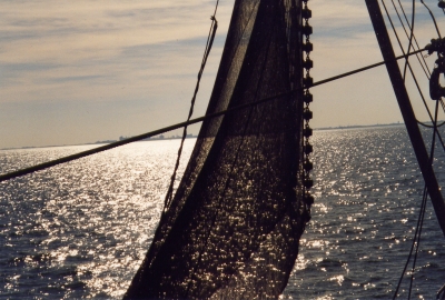 Segelschiff im Gegenlicht