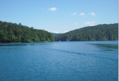 Gewässerpanorama mit Wald