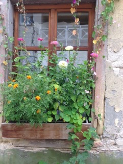 Fenster mit herbstlichen Blumen Fenster mit herbstlichen Blumen