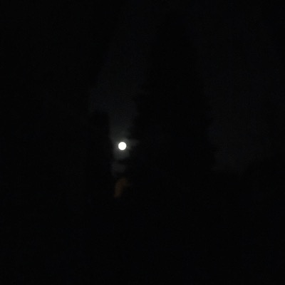 Mond in schwarzer Nacht