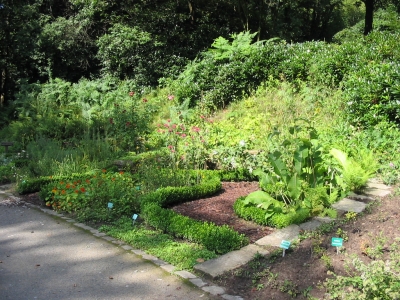 Tecklenburg Kräutergarten