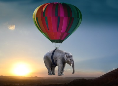Elefant an einem Ballon über der Steppe bei Sonnenuntergang