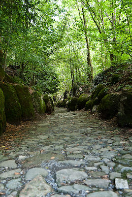 Hohle Gasse in der Schweiz