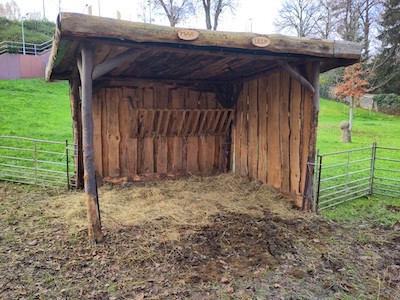 Offener, leerer Stall für zwei Tiere Offener, leerer Stall für zwei Tiere
