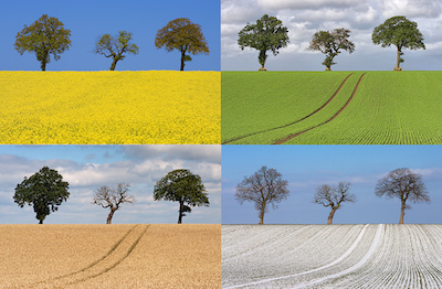 Landschaftsbild in 4 Jahreszeiten