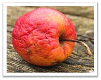 El Greco: Heilung des Blindgeborenen Schrumpeliger Apfel