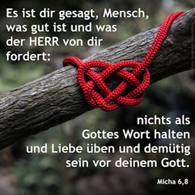 Knoten in Herzform um einen Ast Knoten in Herzform um einen Ast