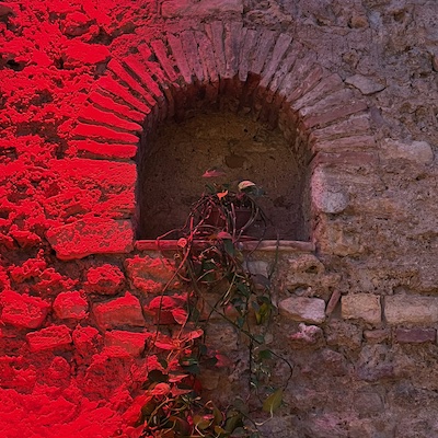 Zugemauertes Fenster mit Blumen, rot angestrahlt