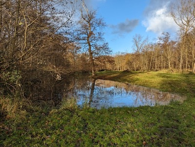 Kleiner Teich Kleiner Teich