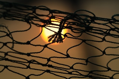 Sonnenuntergang durch zerissenes Netz