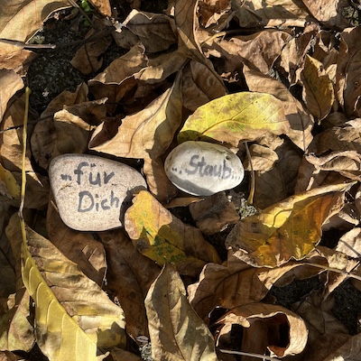Zwei Steine auf Herbstlaub mit den Aufscriften für Dich und Staub
