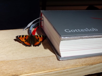 Schmetterling neben dem Gotteslob-Gesangbuch Schmetterling neben dem Gotteslob-Gesangbuch